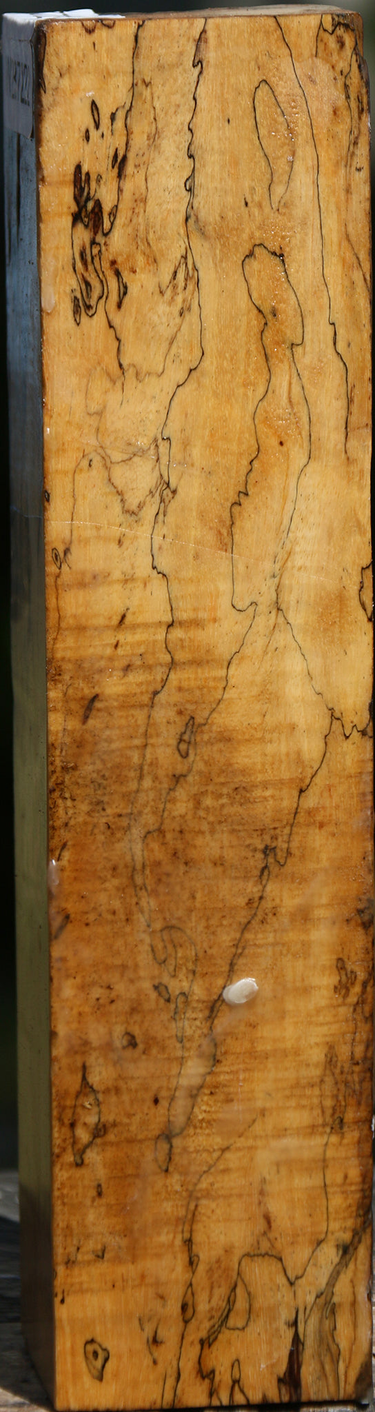 Extra Fancy Spalted Tamarind Peppermill