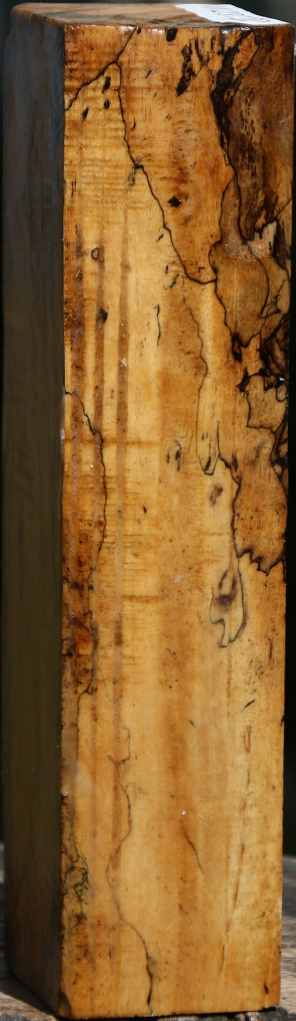 Extra Fancy Spalted Tamarind Peppermill