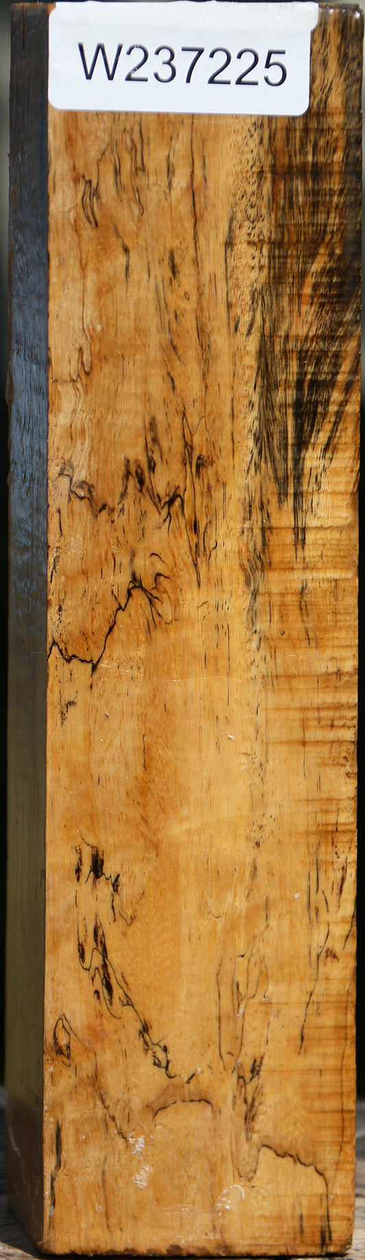 Spalted Tamarind Peppermill