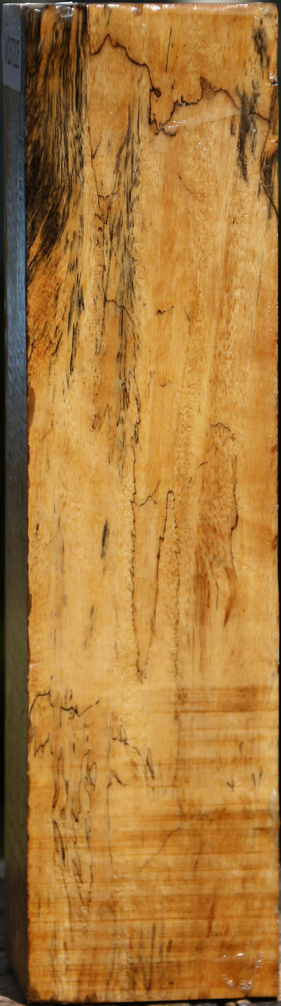 Spalted Tamarind Peppermill