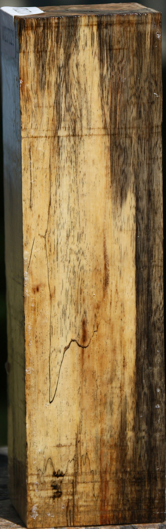 Figured Spalted Tamarind Peppermill