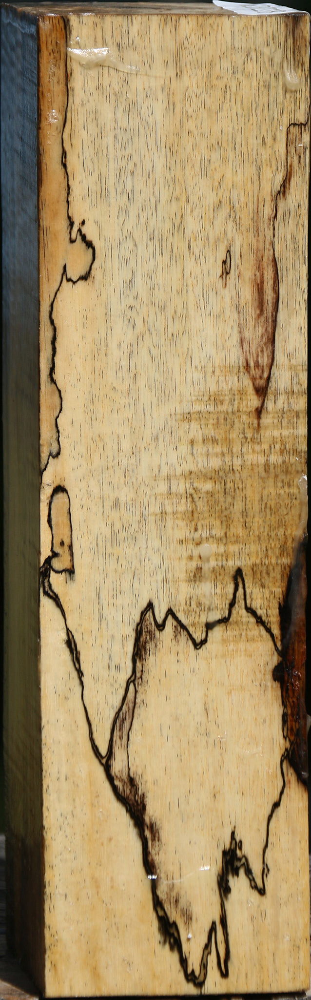 Figured Spalted Tamarind Peppermill