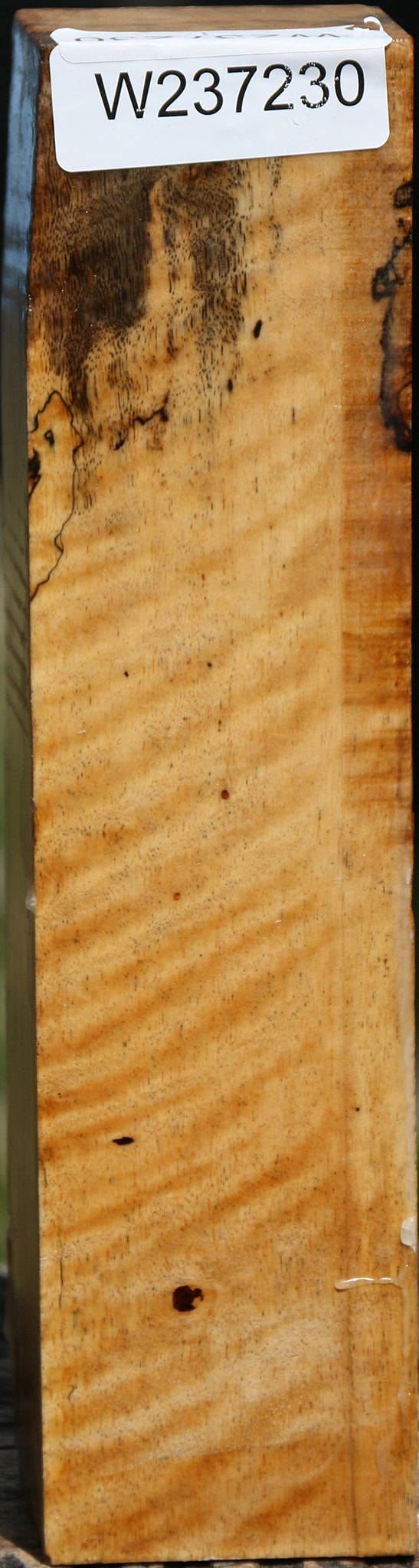 Figured Spalted Tamarind Peppermill