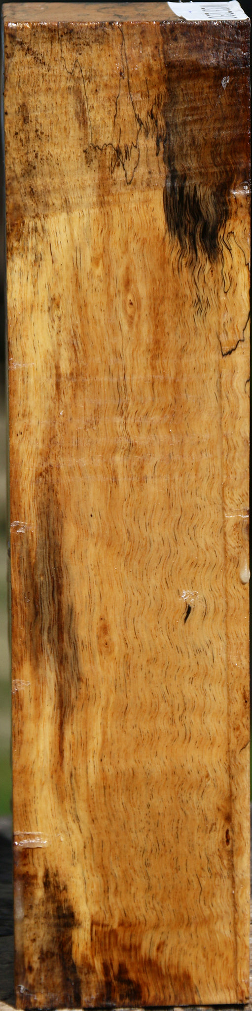 Figured Spalted Tamarind Peppermill