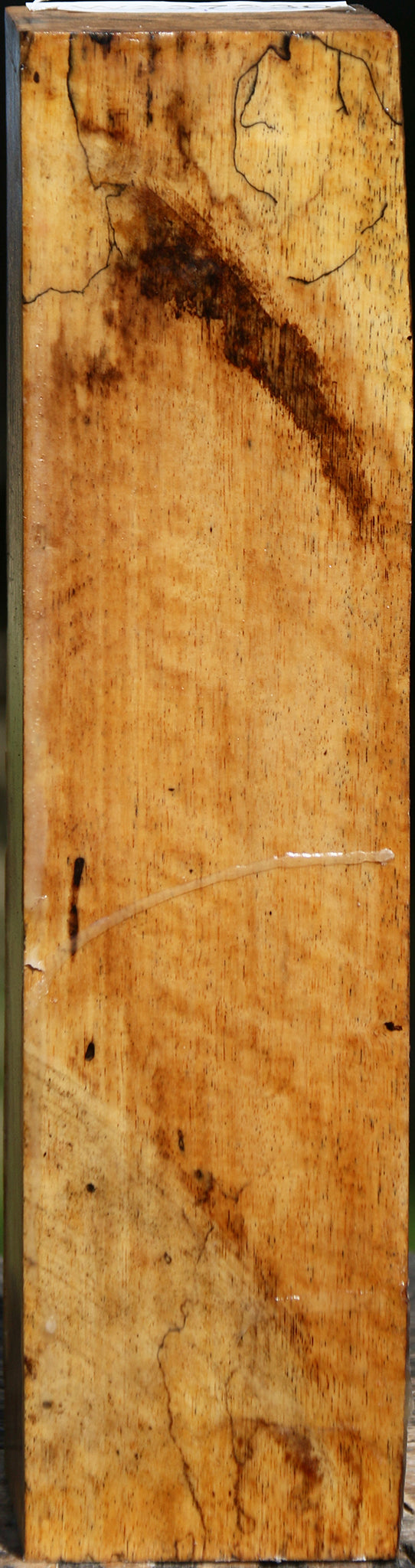 Figured Spalted Tamarind Peppermill