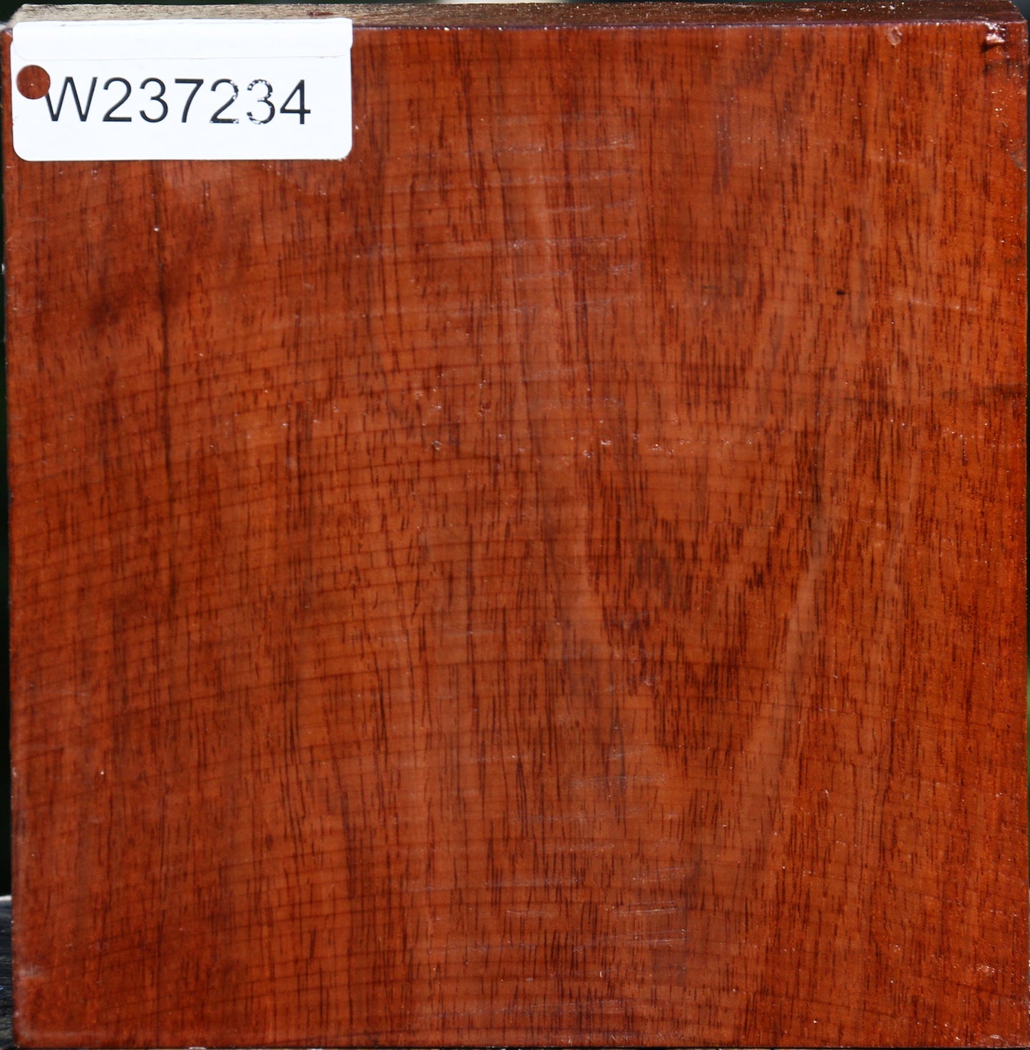 Tzalam Bowl Blank