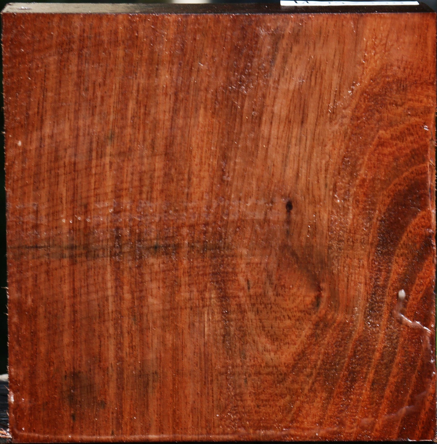 Tzalam Bowl Blank