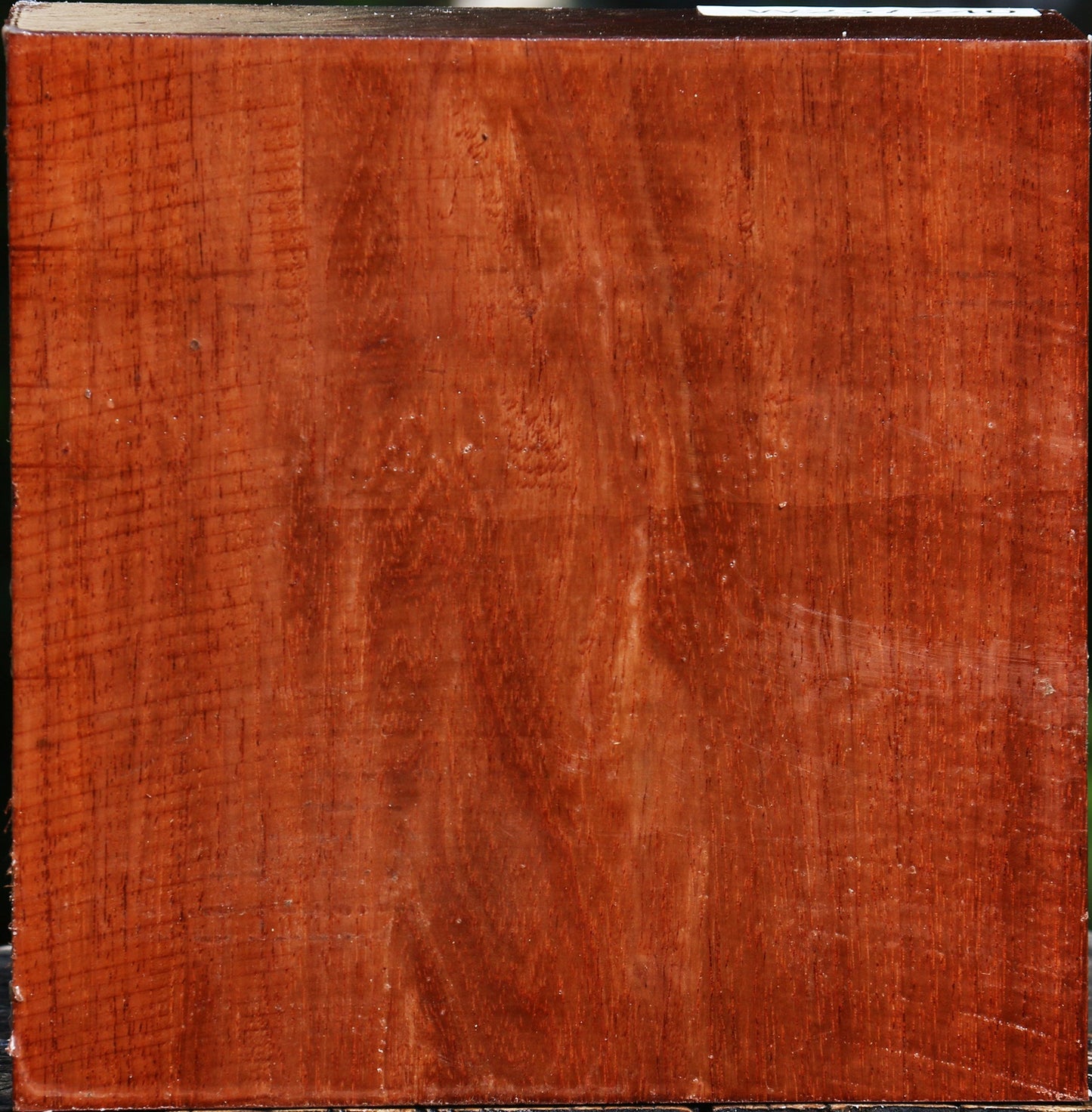 Tzalam Bowl Blank