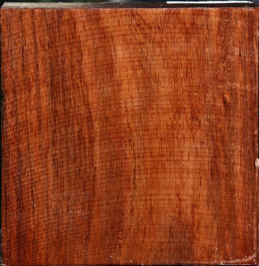 Figured Tzalam Bowl Blank