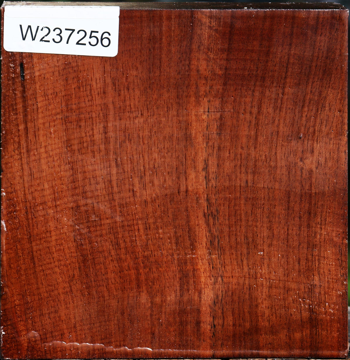 Tzalam Bowl Blank