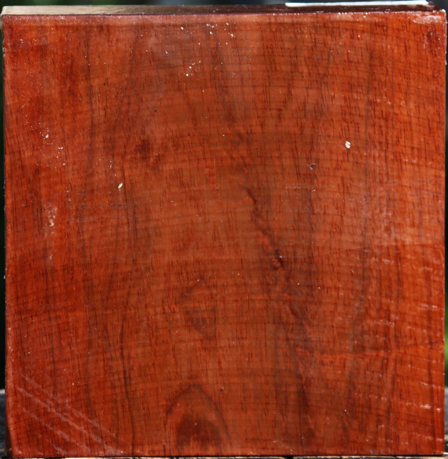 Tzalam Bowl Blank