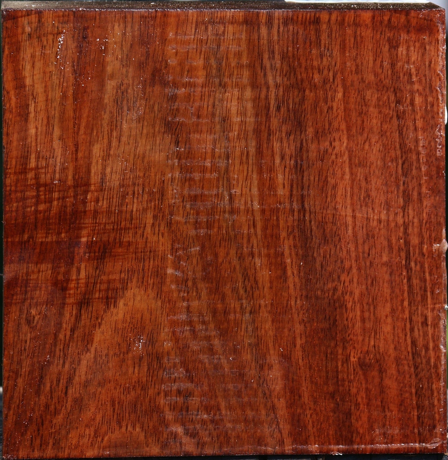 Tzalam Bowl Blank