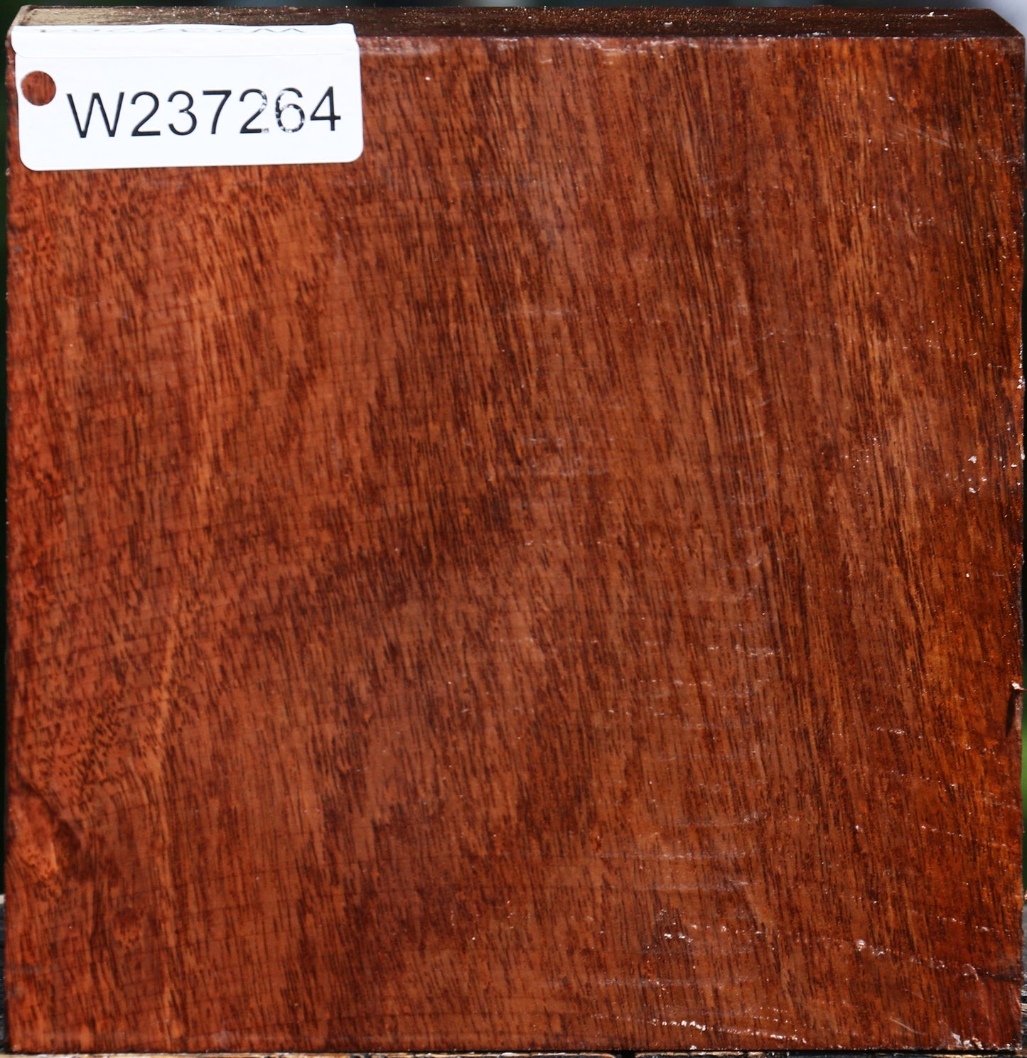 Tzalam Bowl Blank