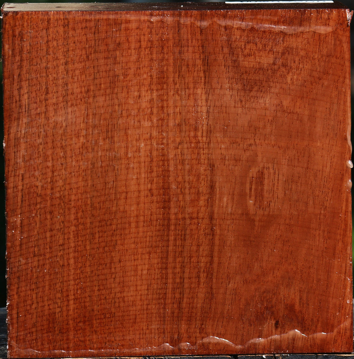 Tzalam Bowl Blank