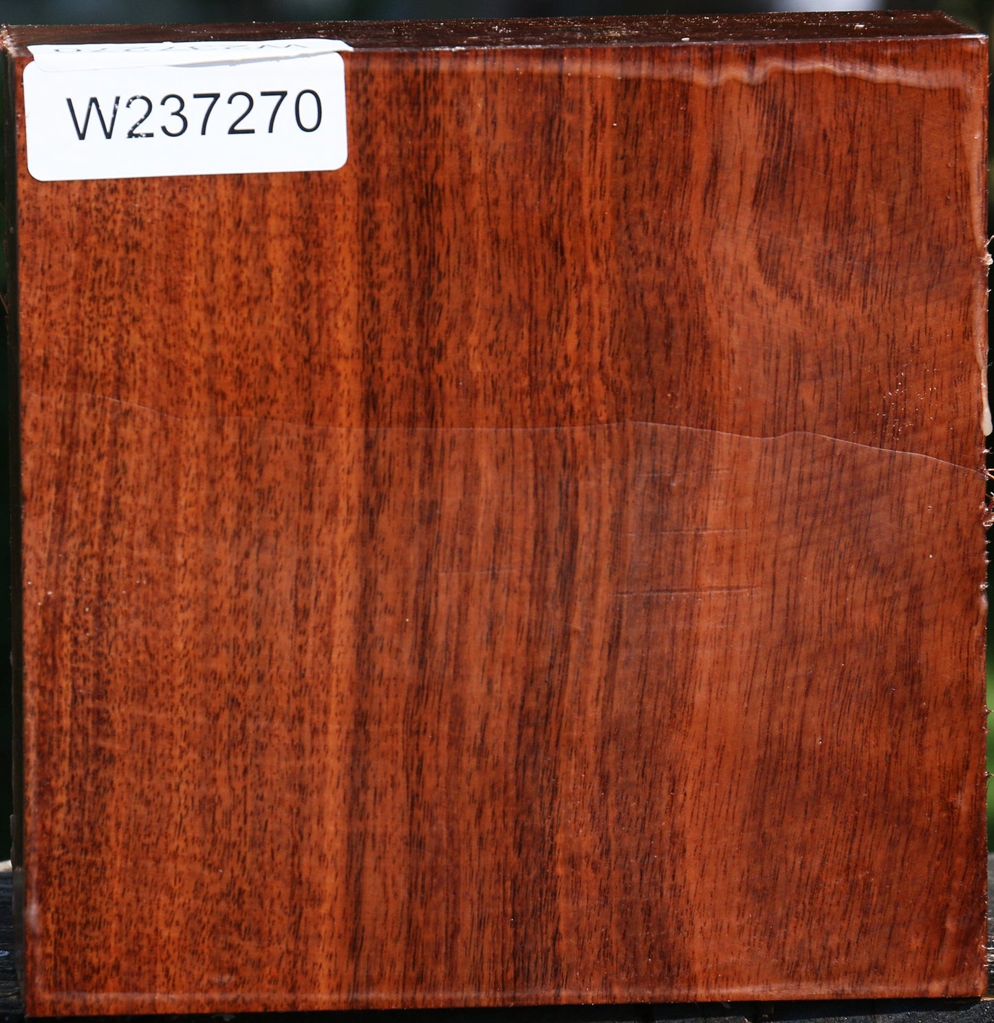 Tzalam Bowl Blank