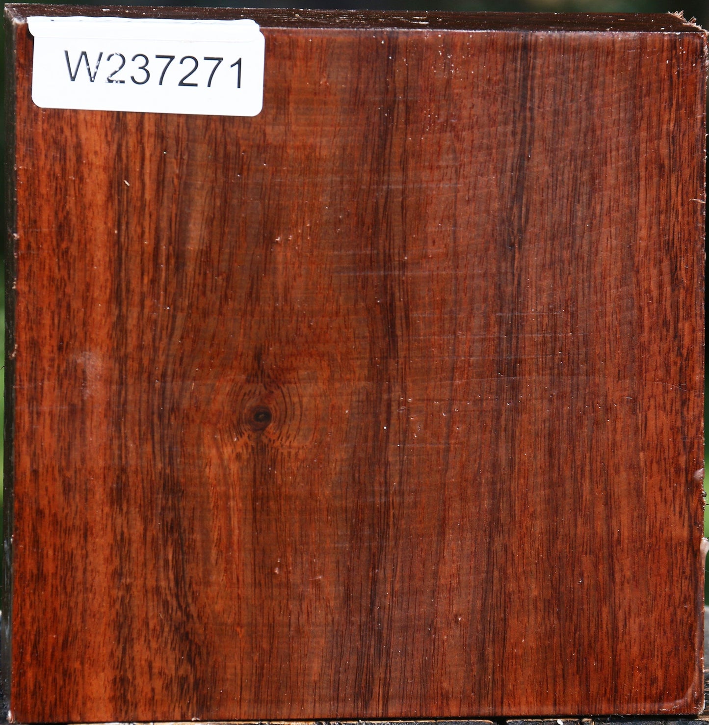 Tzalam Bowl Blank