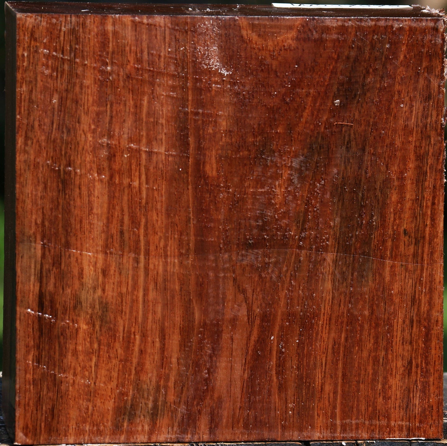 Tzalam Bowl Blank
