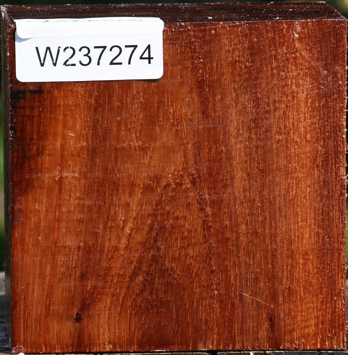 Tzalam Bowl Blank