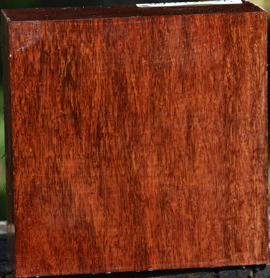 Figured Tzalam Bowl Blank