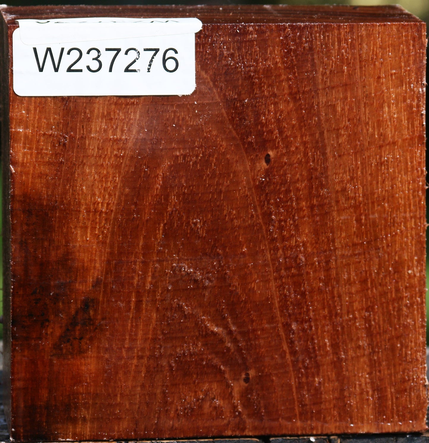 Tzalam Bowl Blank