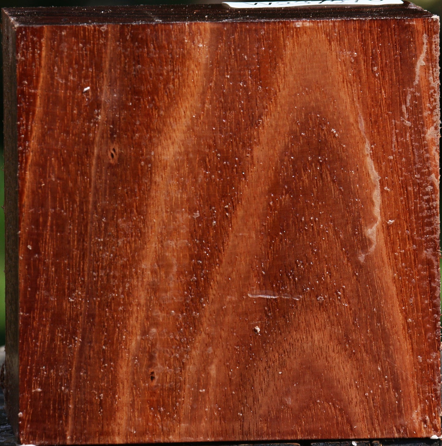 Tzalam Bowl Blank