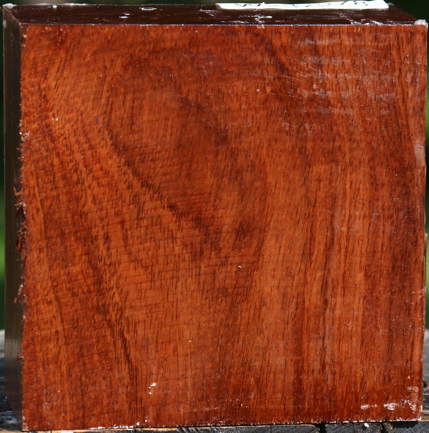 Tzalam Bowl Blank