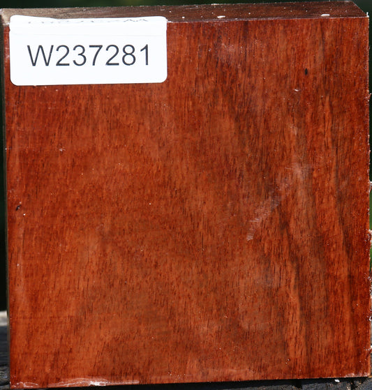 Figured Tzalam Bowl Blank