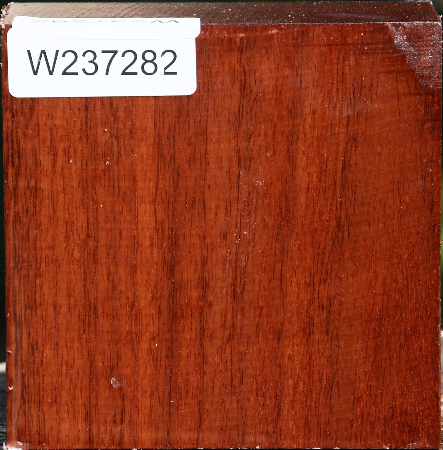 Tzalam Bowl Blank