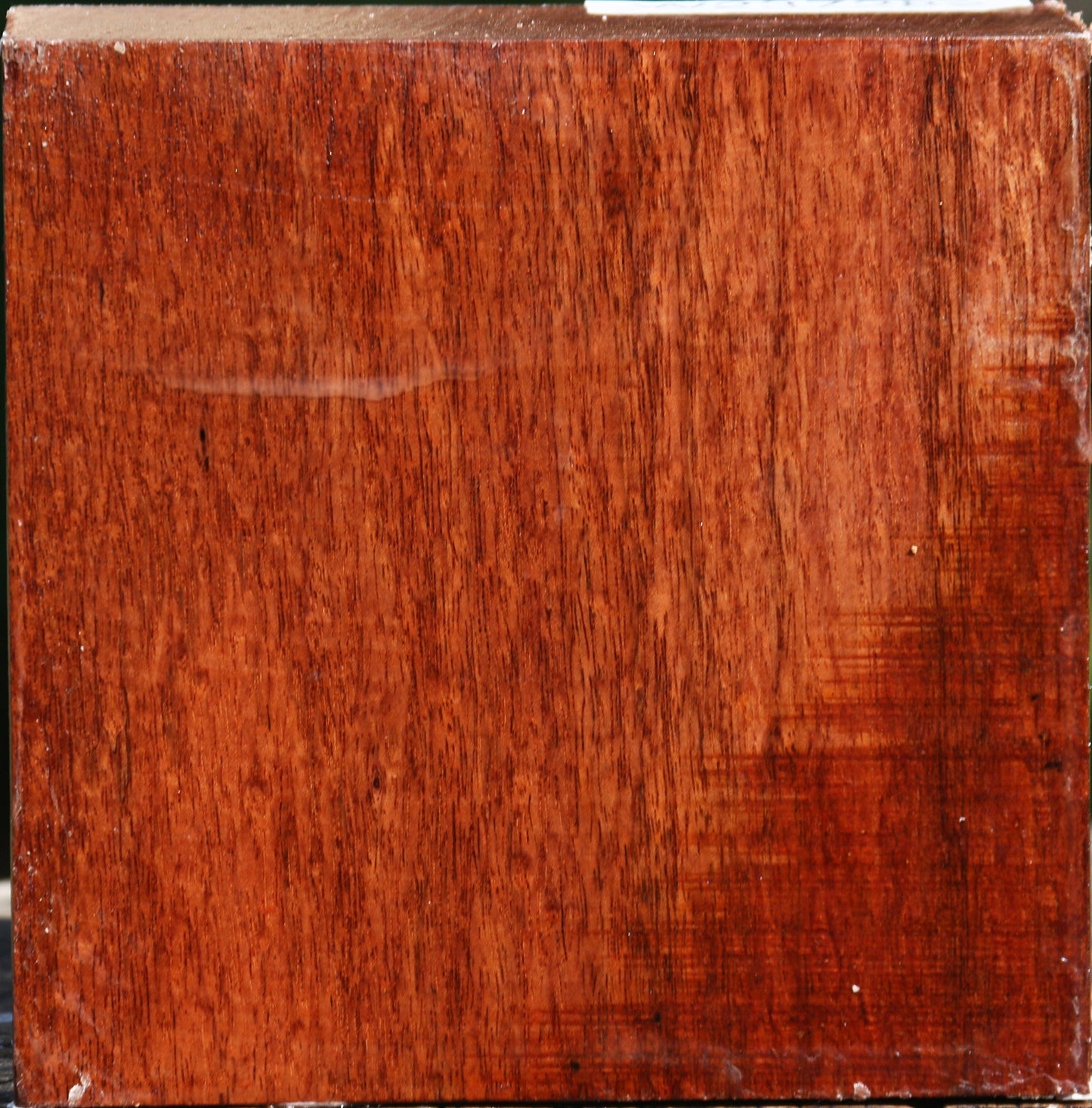 Tzalam Bowl Blank