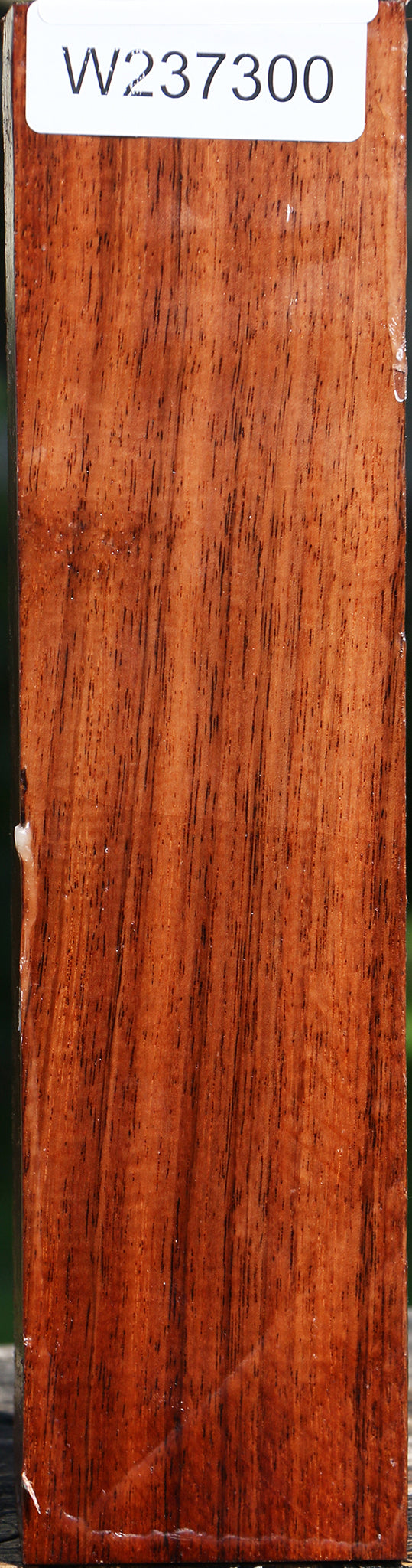 Tzalam Peppermill
