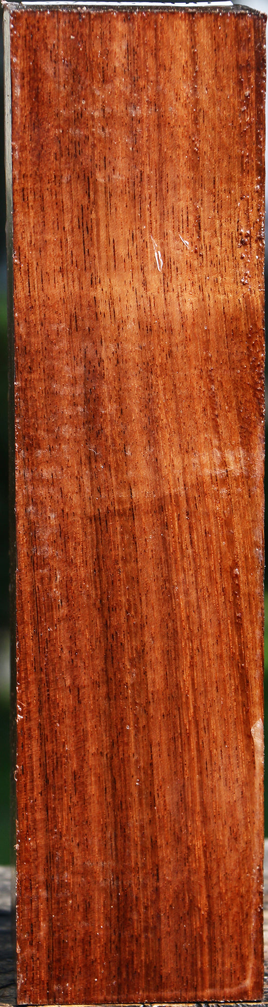 Tzalam Peppermill