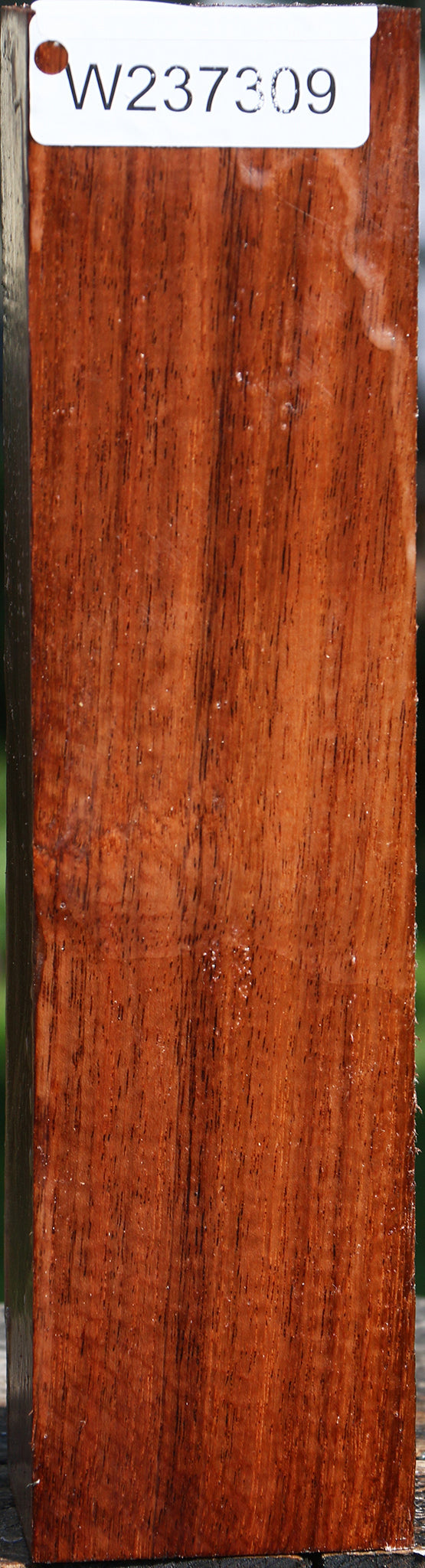 Tzalam Peppermill