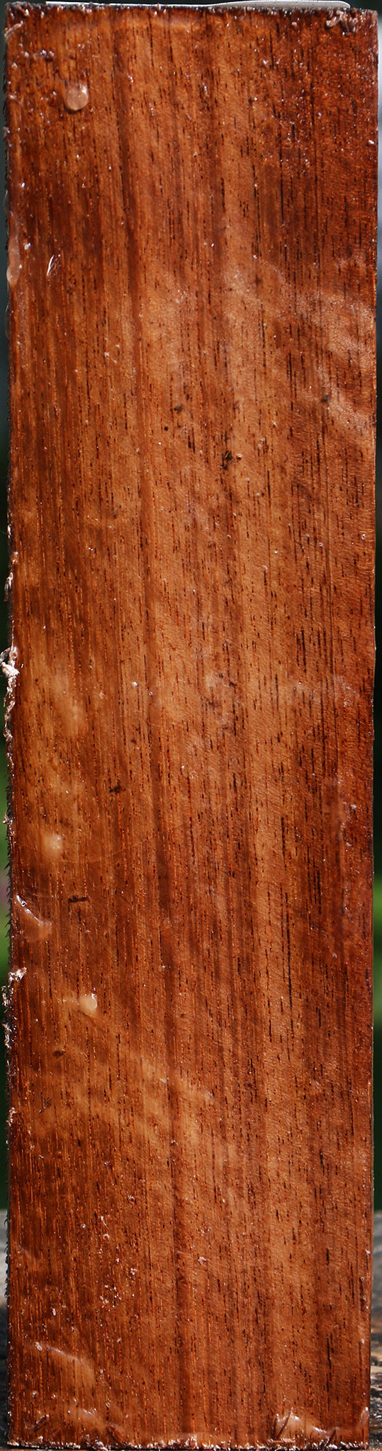 Tzalam Peppermill