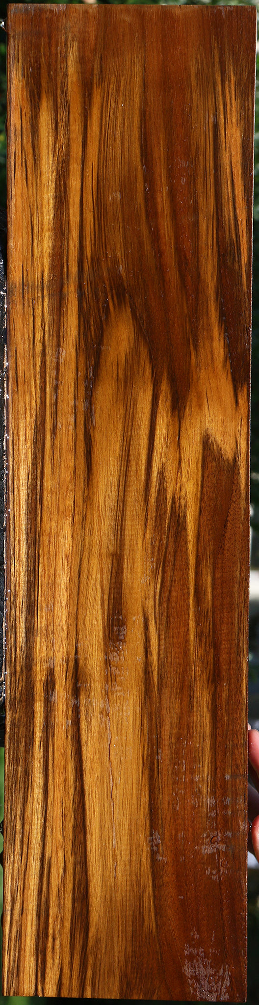 Teak Lumber