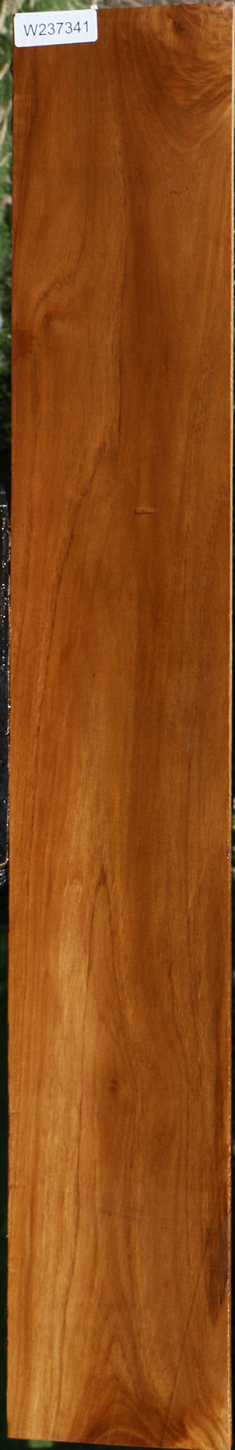 Teak Lumber