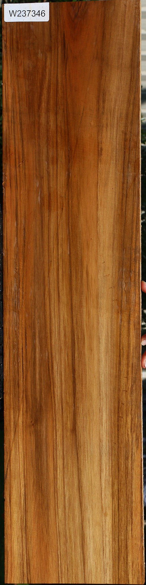 Teak Lumber