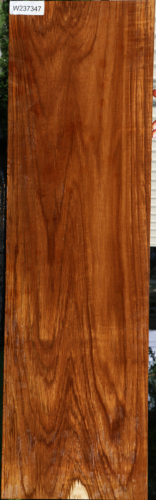 Extra Fancy Teak Lumber