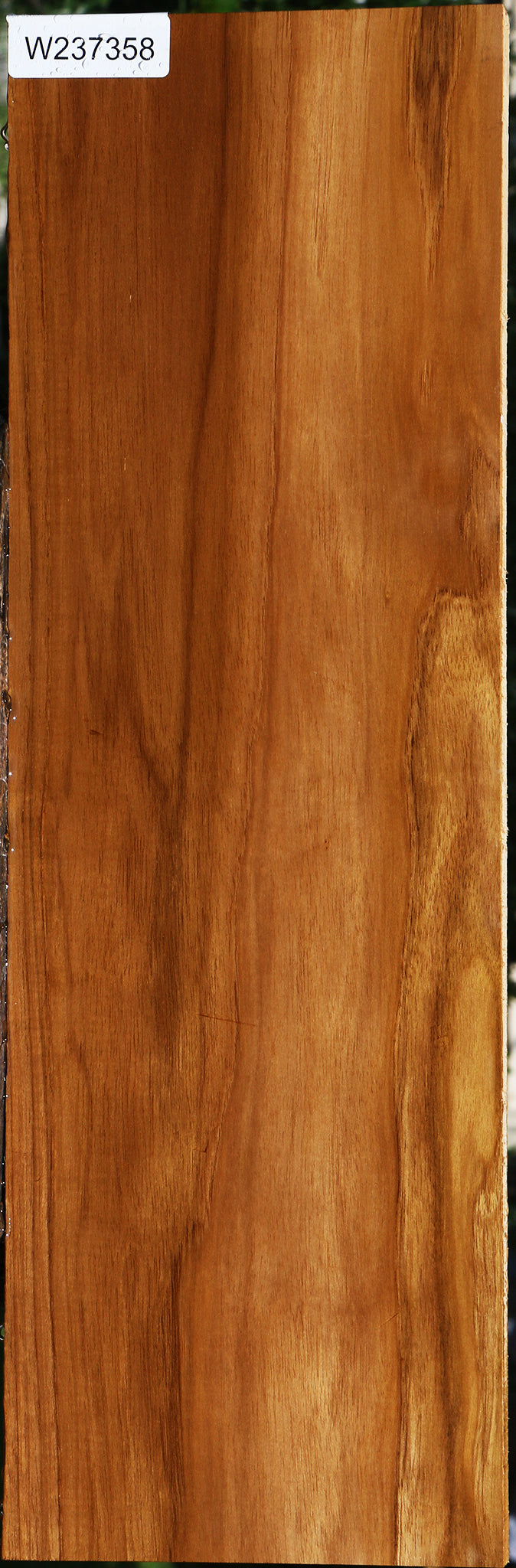 Teak Lumber