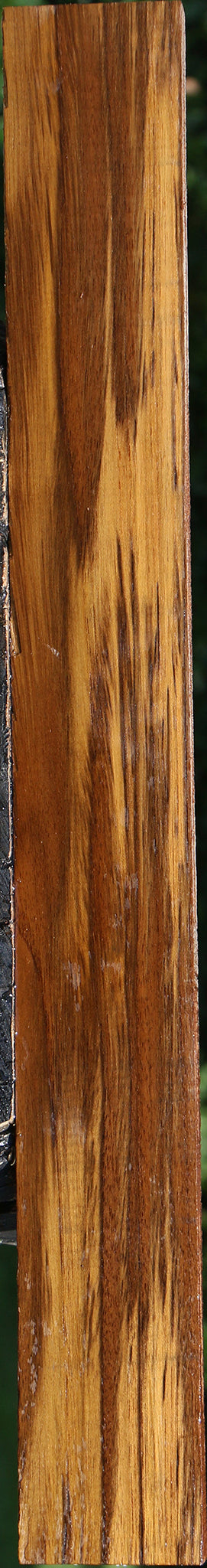 Teak Lumber