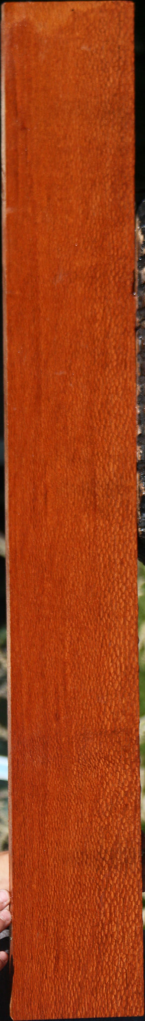 Leopardwood Lumber
