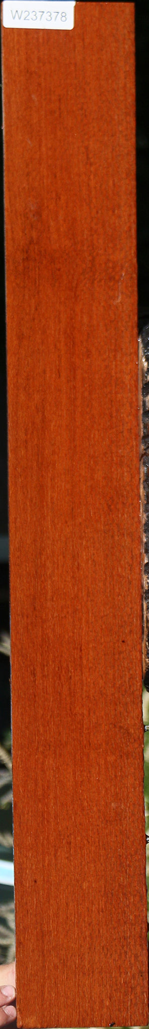 Leopardwood Lumber