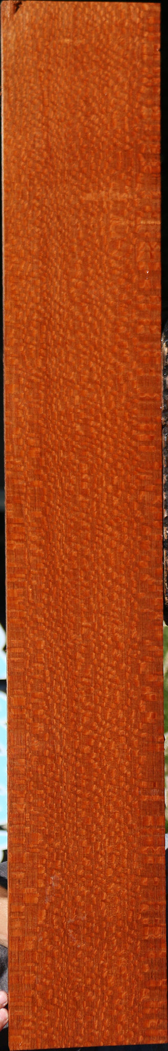 Extra Fancy Leopardwood Lumber