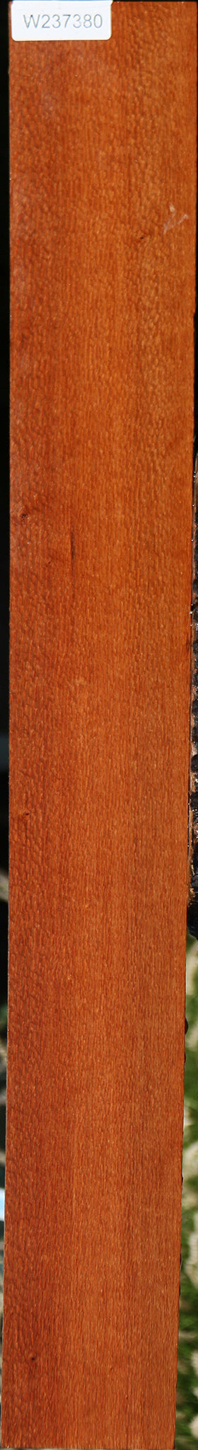 Figured Leopardwood Lumber