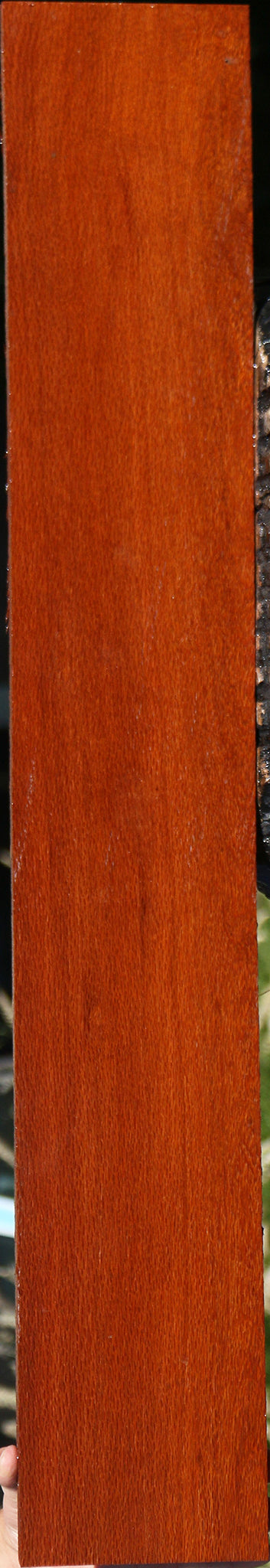 Leopardwood Lumber