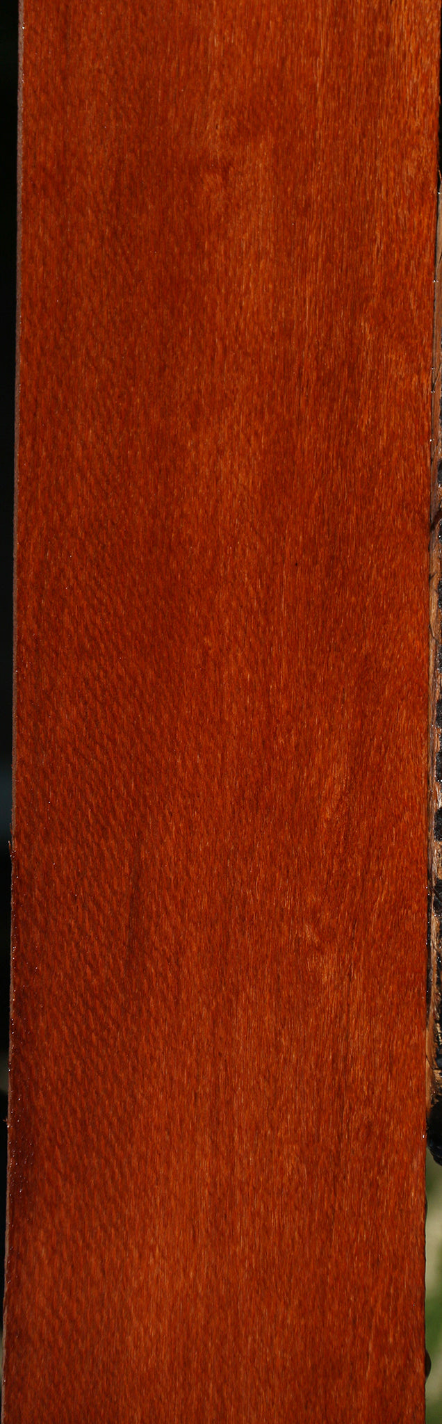 Leopardwood Lumber