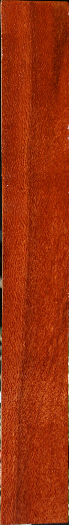 Leopardwood Lumber