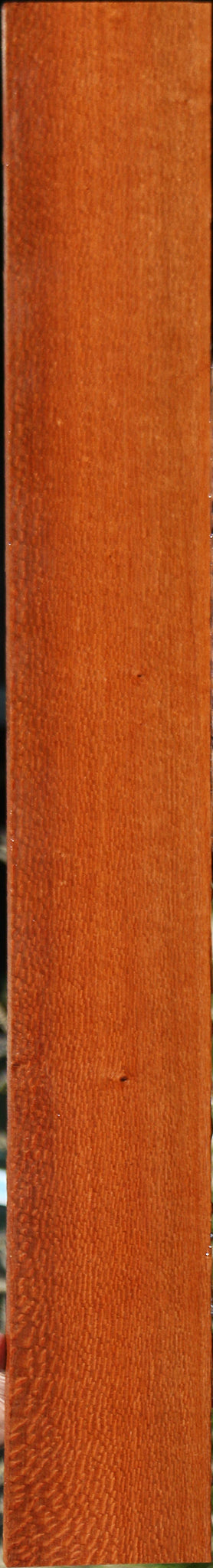 Leopardwood Lumber
