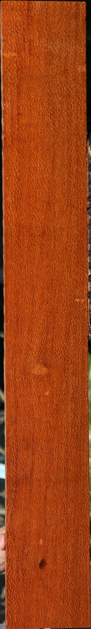 Leopardwood Lumber