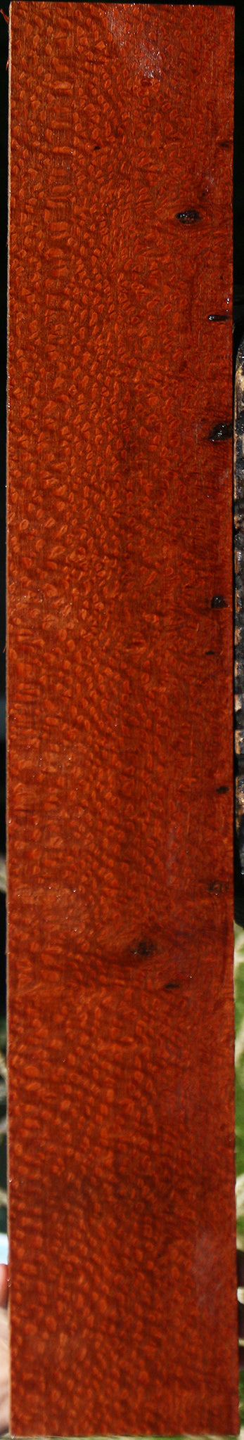 Extra Fancy Leopardwood Lumber