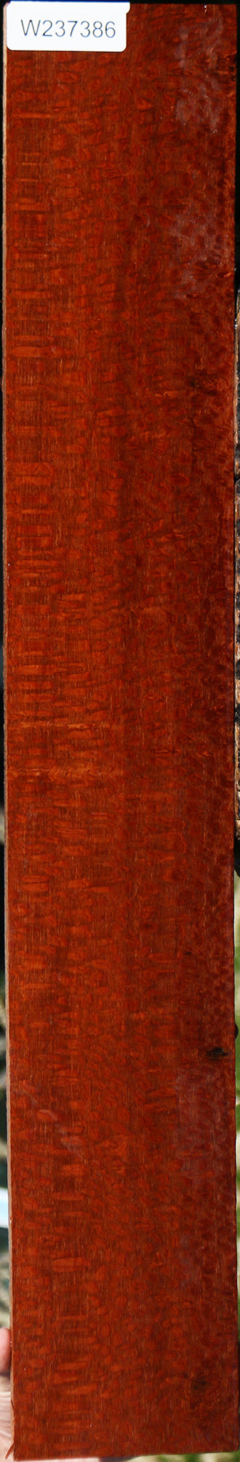 Extra Fancy Leopardwood Lumber